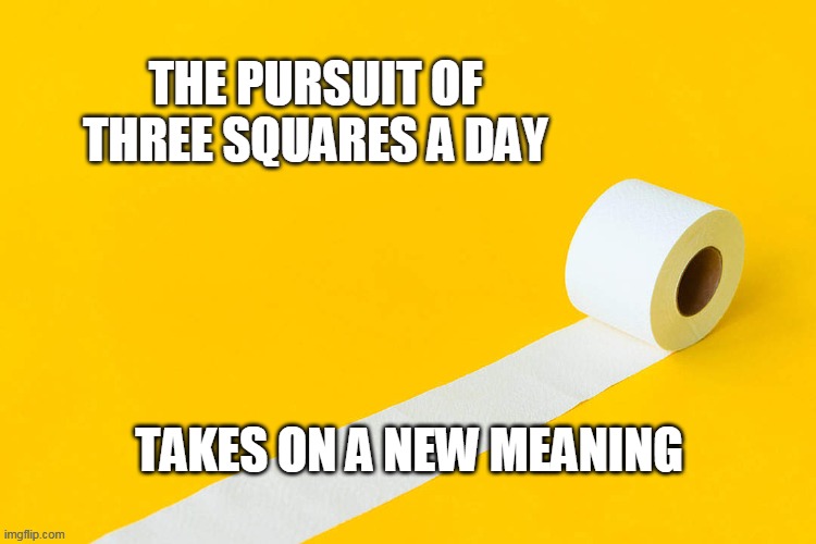 THE PURSUIT OF THREE SQUARES A DAY; TAKES ON A NEW MEANING | image tagged in coronavirus,covid-19 | made w/ Imgflip meme maker