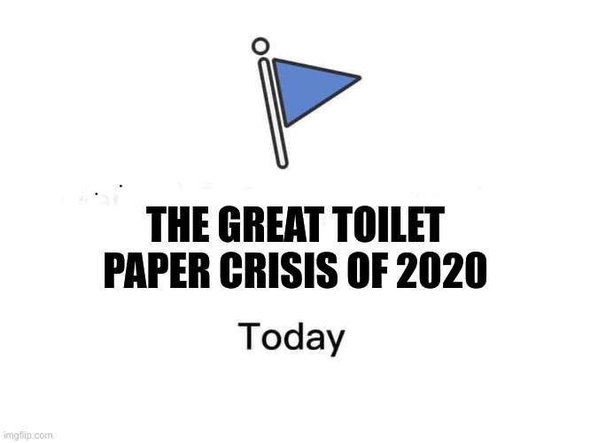 Marked safe from | THE GREAT TOILET PAPER CRISIS OF 2020 | image tagged in marked safe from | made w/ Imgflip meme maker
