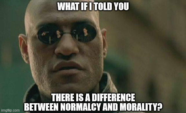 Matrix Morpheus Meme | WHAT IF I TOLD YOU; THERE IS A DIFFERENCE BETWEEN NORMALCY AND MORALITY? | image tagged in memes,matrix morpheus,normal,moral,know the difference | made w/ Imgflip meme maker