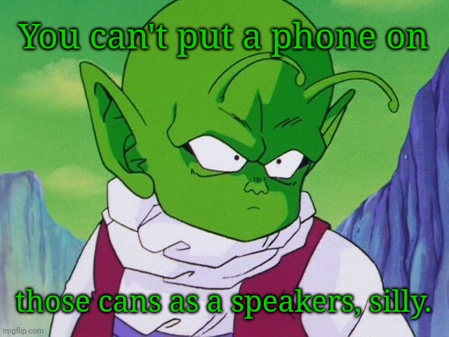 Quoter Dende (DBZ) | You can't put a phone on those cans as a speakers, silly. | image tagged in quoter dende dbz | made w/ Imgflip meme maker