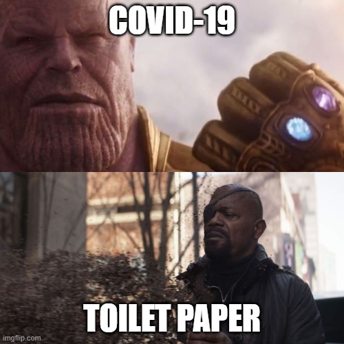 Thanos snaps | COVID-19; TOILET PAPER | image tagged in thanos snaps | made w/ Imgflip meme maker