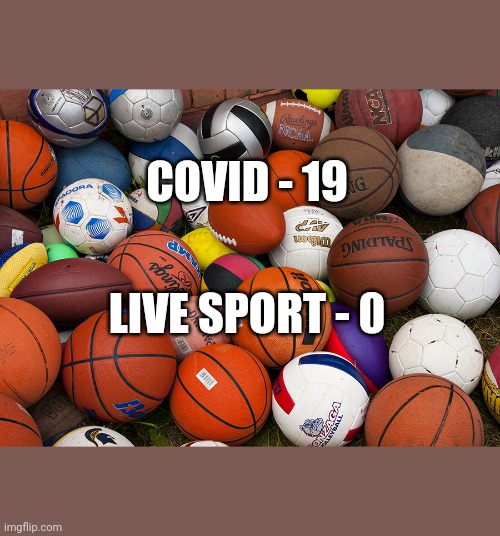 sports balls | COVID - 19; LIVE SPORT - 0 | image tagged in sports balls | made w/ Imgflip meme maker