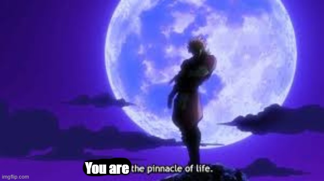 I Am The Pinnacle Of Life | You are | image tagged in i am the pinnacle of life | made w/ Imgflip meme maker