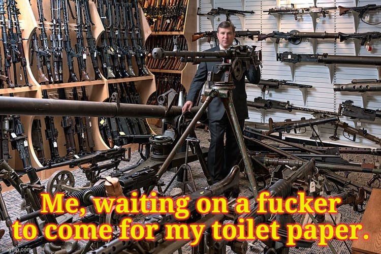 Guns. Lotsa guns | Me, waiting on a fucker to come for my toilet paper. | image tagged in guns,firearms | made w/ Imgflip meme maker