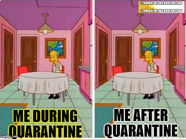 Before and After Q | ME AFTER QUARANTINE; ME DURING QUARANTINE | image tagged in quarantine | made w/ Imgflip meme maker