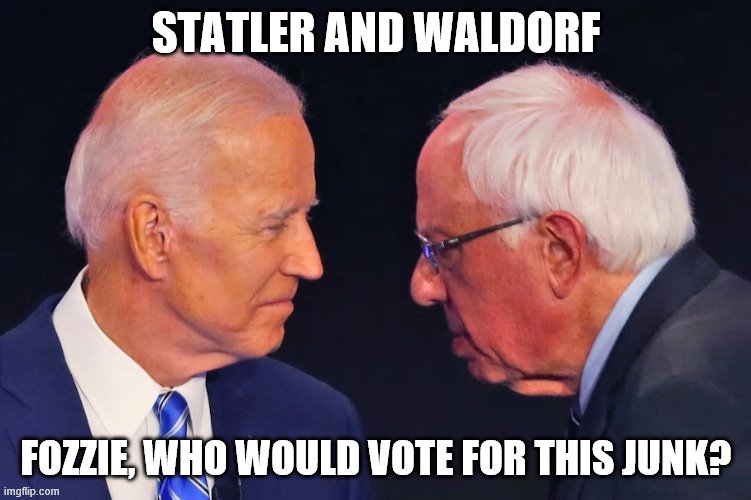 Statler and Waldorf | STATLER AND WALDORF; FOZZIE, WHO WOULD VOTE FOR THIS JUNK? | image tagged in politics lol | made w/ Imgflip meme maker