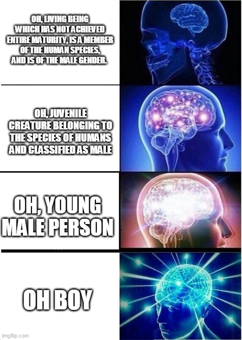 Expanding Brain | OH, LIVING BEING WHICH HAS NOT ACHIEVED ENTIRE MATURITY, IS A MEMBER OF THE HUMAN SPECIES, AND IS OF THE MALE GENDER. OH, JUVENILE CREATURE BELONGING TO THE SPECIES OF HUMANS AND CLASSIFIED AS MALE; OH, YOUNG MALE PERSON; OH BOY | image tagged in memes,expanding brain | made w/ Imgflip meme maker