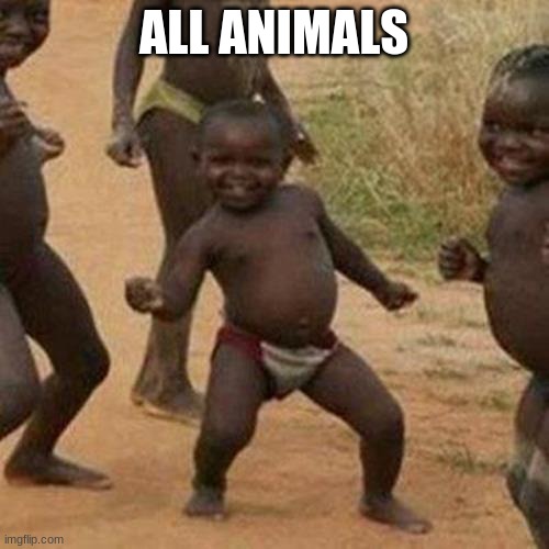 Third World Success Kid Meme | ALL ANIMALS | image tagged in memes,third world success kid | made w/ Imgflip meme maker