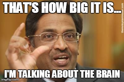 THAT'S HOW BIG IT IS... I'M TALKING ABOUT THE BRAIN | image tagged in size does matter | made w/ Imgflip meme maker