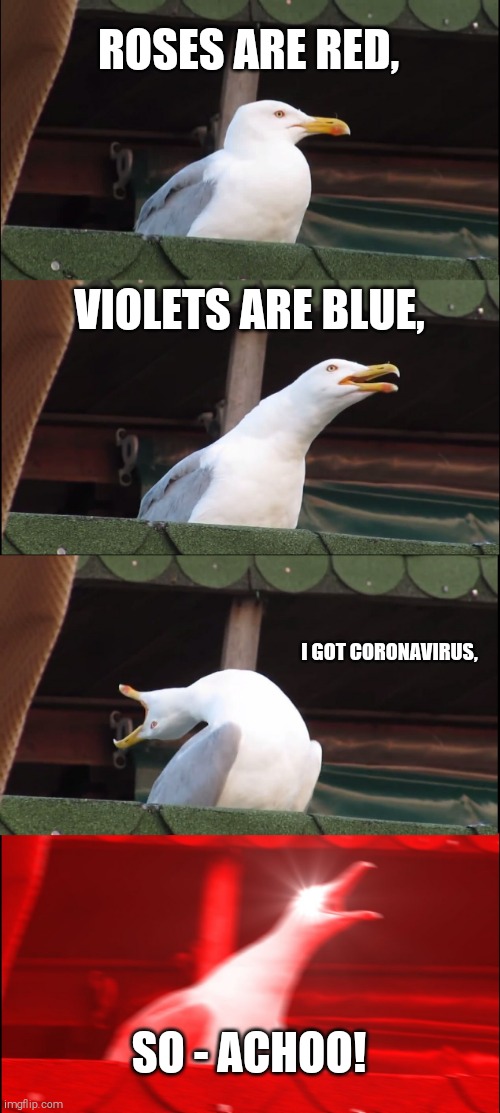 Inhaling Seagull Meme | ROSES ARE RED, VIOLETS ARE BLUE, I GOT CORONAVIRUS, SO - ACHOO! | image tagged in memes,inhaling seagull | made w/ Imgflip meme maker