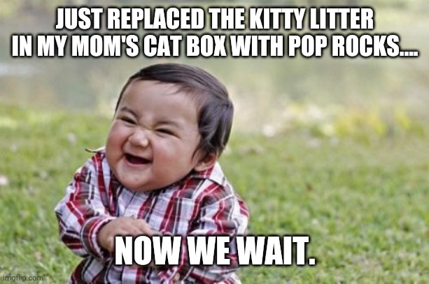 Funny | JUST REPLACED THE KITTY LITTER IN MY MOM'S CAT BOX WITH POP ROCKS.... NOW WE WAIT. | image tagged in memes,evil toddler,funny,funny memes | made w/ Imgflip meme maker