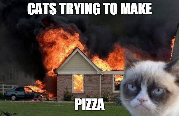 Burn Kitty | CATS TRYING TO MAKE; PIZZA | image tagged in memes,burn kitty,grumpy cat | made w/ Imgflip meme maker