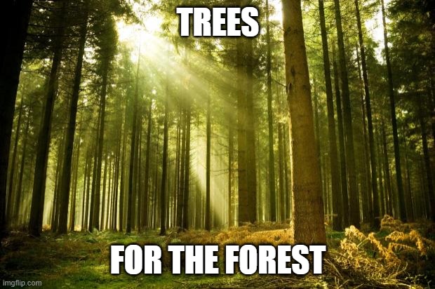 sunlit forest | TREES FOR THE FOREST | image tagged in sunlit forest | made w/ Imgflip meme maker