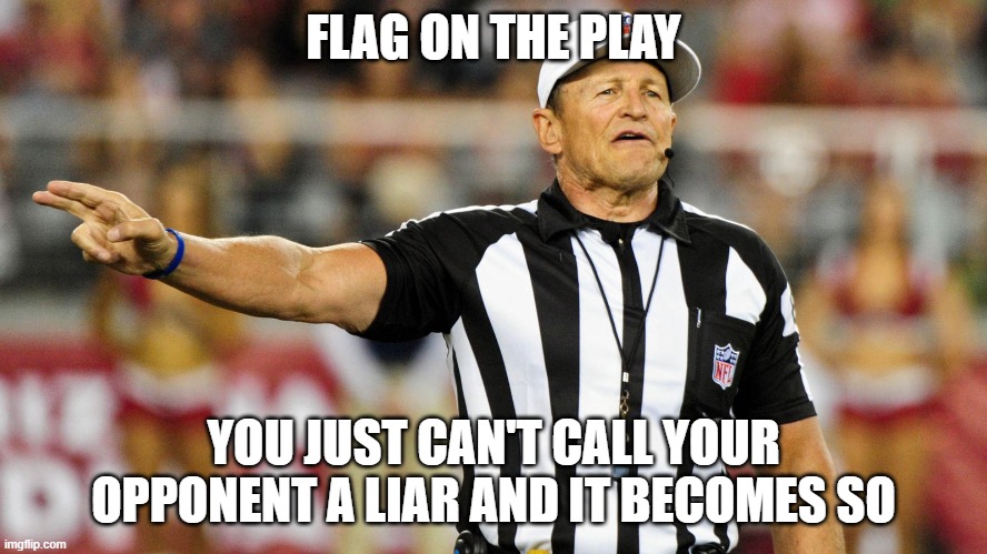Logical Fallacy Referee | FLAG ON THE PLAY YOU JUST CAN'T CALL YOUR OPPONENT A LIAR AND IT BECOMES SO | image tagged in logical fallacy referee | made w/ Imgflip meme maker
