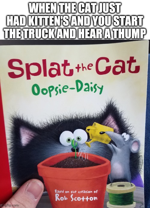 WHEN THE CAT JUST HAD KITTEN'S AND YOU START THE TRUCK AND HEAR A THUMP | image tagged in blank white template | made w/ Imgflip meme maker