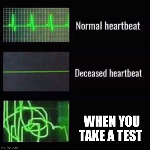 heartbeat rate | WHEN YOU TAKE A TEST | image tagged in heartbeat rate | made w/ Imgflip meme maker