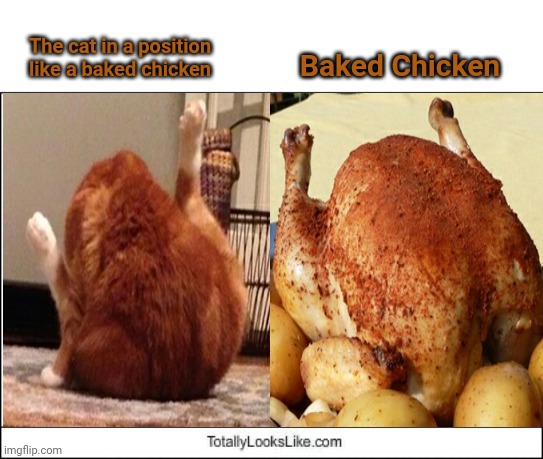 The cat in a position like a baked chicken; Baked Chicken | Baked Chicken; The cat in a position like a baked chicken | image tagged in totally looks like,cats,cat,chicken,funny,memes | made w/ Imgflip meme maker