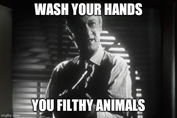 You filthy animals | WASH YOUR HANDS; YOU FILTHY ANIMALS | image tagged in you filthy animals | made w/ Imgflip meme maker