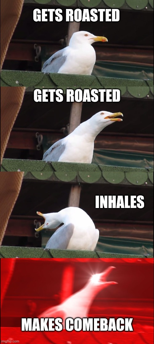 Inhaling Seagull Meme | GETS ROASTED; GETS ROASTED; INHALES; MAKES COMEBACK | image tagged in memes,inhaling seagull | made w/ Imgflip meme maker