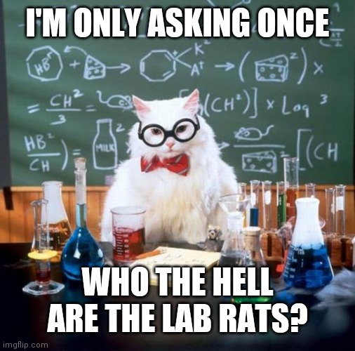 Chemistry Cat Meme | I'M ONLY ASKING ONCE; WHO THE HELL ARE THE LAB RATS? | image tagged in memes,chemistry cat | made w/ Imgflip meme maker