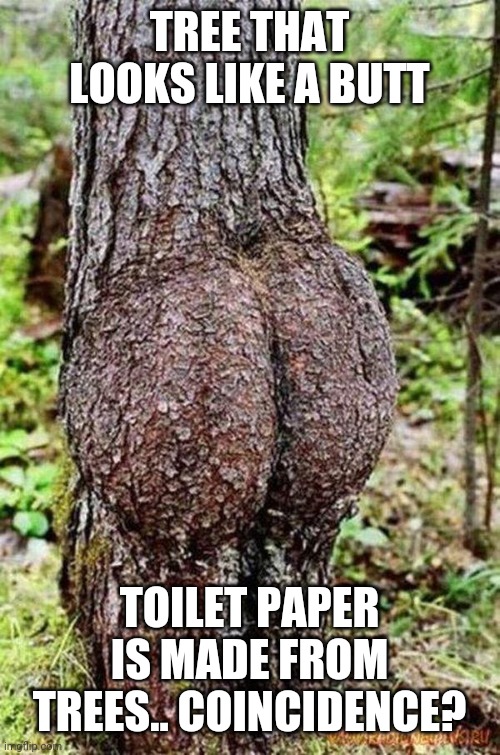Sexy Tree | TREE THAT LOOKS LIKE A BUTT; TOILET PAPER IS MADE FROM TREES.. COINCIDENCE? | image tagged in sexy tree | made w/ Imgflip meme maker