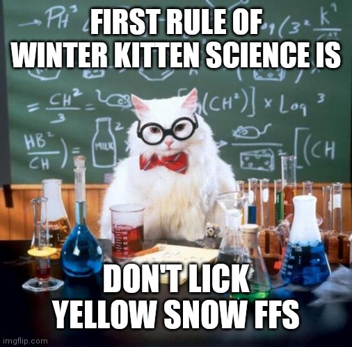 Chemistry Cat Meme | FIRST RULE OF WINTER KITTEN SCIENCE IS; DON'T LICK YELLOW SNOW FFS | image tagged in memes,chemistry cat | made w/ Imgflip meme maker