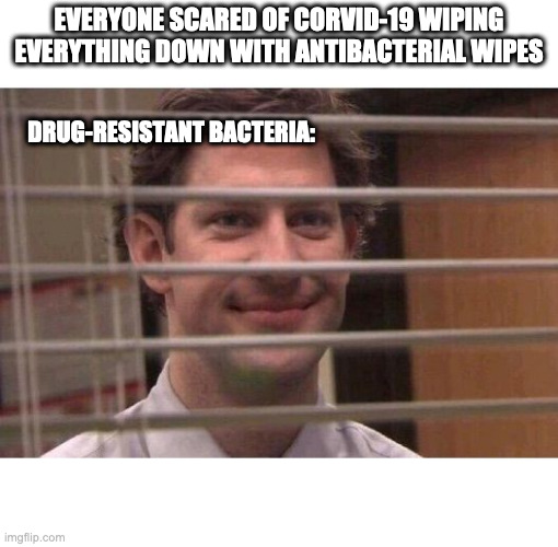Jim Office Blinds | EVERYONE SCARED OF CORVID-19 WIPING EVERYTHING DOWN WITH ANTIBACTERIAL WIPES; DRUG-RESISTANT BACTERIA: | image tagged in jim office blinds | made w/ Imgflip meme maker