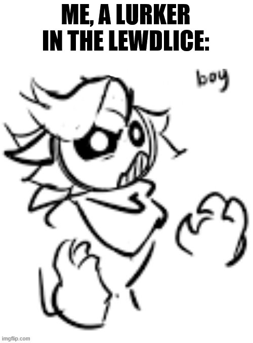 Dub BOI | ME, A LURKER IN THE LEWDLICE: | image tagged in dub boi | made w/ Imgflip meme maker