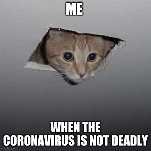 Ceiling Cat | ME; WHEN THE CORONAVIRUS IS NOT DEADLY | image tagged in memes,ceiling cat | made w/ Imgflip meme maker