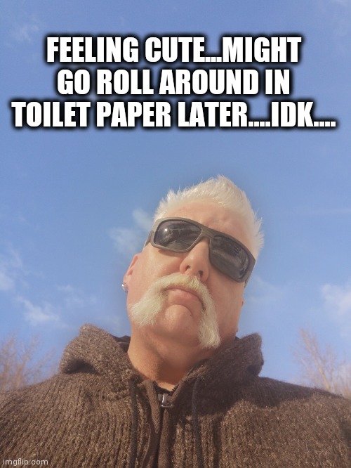 Feeling cute | FEELING CUTE...MIGHT GO ROLL AROUND IN TOILET PAPER LATER....IDK.... | image tagged in feeling cute | made w/ Imgflip meme maker