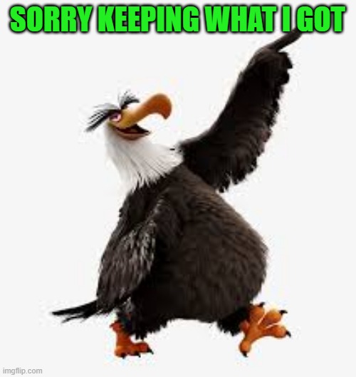 angry birds eagle | SORRY KEEPING WHAT I GOT | image tagged in angry birds eagle | made w/ Imgflip meme maker