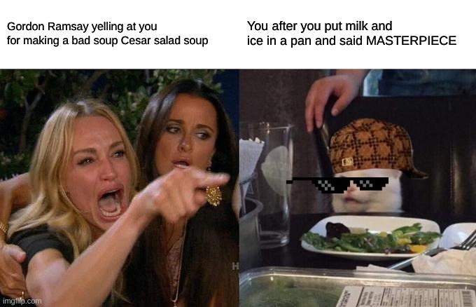 Woman Yelling At Cat | Gordon Ramsay yelling at you for making a bad soup Cesar salad soup; You after you put milk and ice in a pan and said MASTERPIECE | image tagged in memes,woman yelling at cat | made w/ Imgflip meme maker