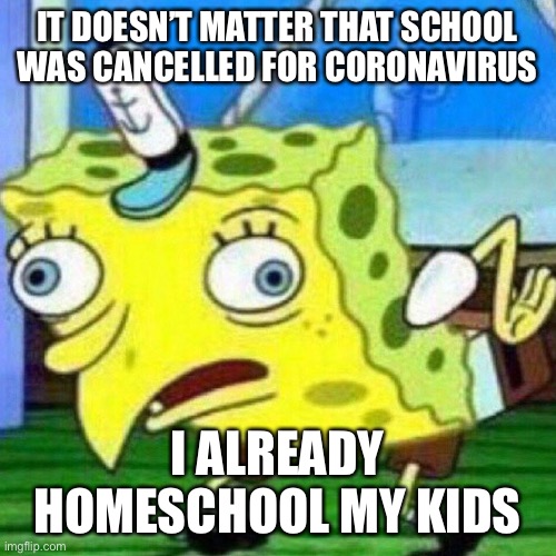 triggerpaul | IT DOESN’T MATTER THAT SCHOOL WAS CANCELLED FOR CORONAVIRUS; I ALREADY HOMESCHOOL MY KIDS | image tagged in triggerpaul | made w/ Imgflip meme maker