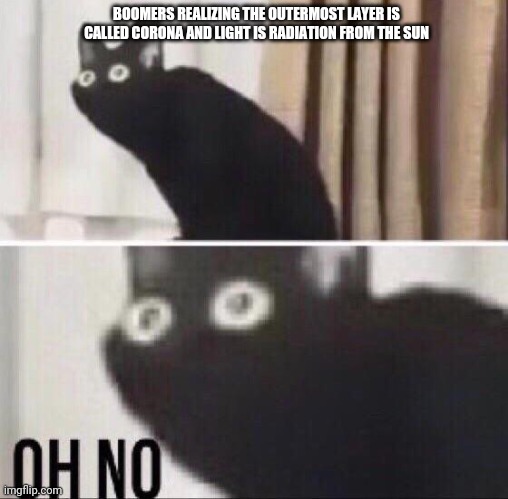 Oh no cat | BOOMERS REALIZING THE OUTERMOST LAYER IS CALLED CORONA AND LIGHT IS RADIATION FROM THE SUN | image tagged in oh no cat | made w/ Imgflip meme maker