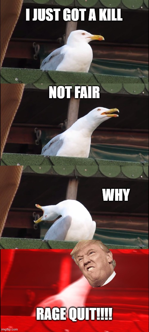 Inhaling Seagull | I JUST GOT A KILL; NOT FAIR; WHY; RAGE QUIT!!!! | image tagged in memes,inhaling seagull | made w/ Imgflip meme maker