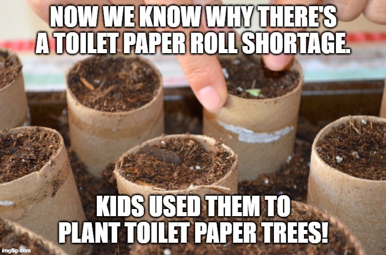 Reuse and recycle... | image tagged in toilet paper,recycling,politics,spring cleaning,coronavirus | made w/ Imgflip meme maker