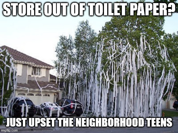 When the stores out of TP | STORE OUT OF TOILET PAPER? JUST UPSET THE NEIGHBORHOOD TEENS | image tagged in no more toilet paper,toilet paper,funny | made w/ Imgflip meme maker