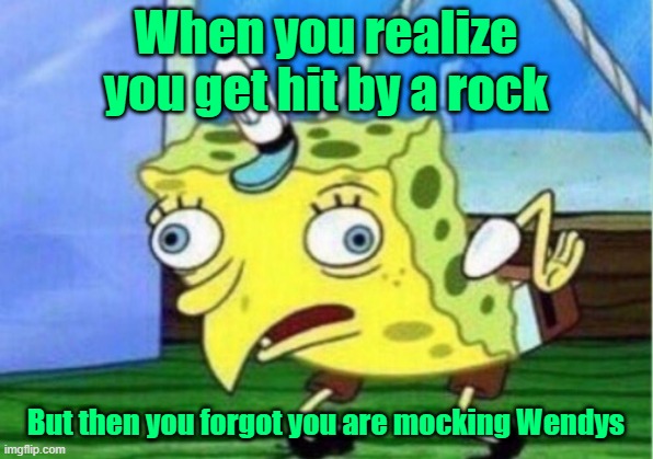 Mocking Spongebob | When you realize you get hit by a rock; But then you forgot you are mocking Wendys | image tagged in memes,mocking spongebob | made w/ Imgflip meme maker