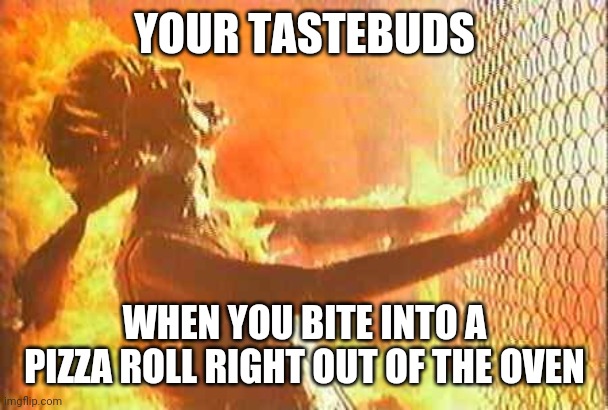 Terminator nuke | YOUR TASTEBUDS; WHEN YOU BITE INTO A PIZZA ROLL RIGHT OUT OF THE OVEN | image tagged in terminator nuke | made w/ Imgflip meme maker