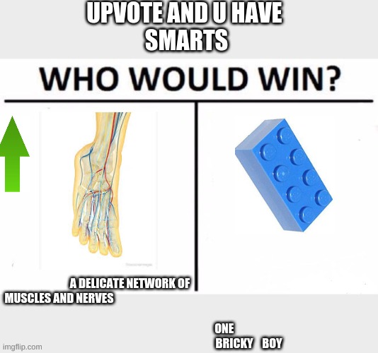 who would win? | UPVOTE AND U HAVE 
SMARTS; A DELICATE NETWORK OF                                                     
MUSCLES AND NERVES                                                                                                                    
                                                                           ONE 
                                                     BRICKY    BOY | image tagged in funny memes | made w/ Imgflip meme maker