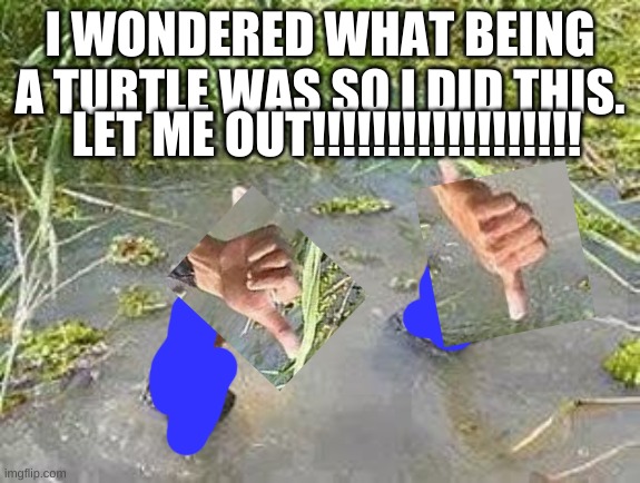 FLOODING THUMBS UP | I WONDERED WHAT BEING A TURTLE WAS SO I DID THIS. LET ME OUT!!!!!!!!!!!!!!!!!! | image tagged in flooding thumbs up | made w/ Imgflip meme maker