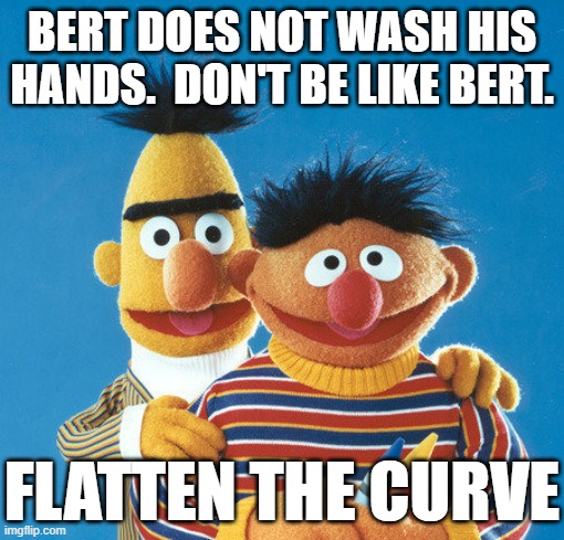 #FlattenTheCurve | BERT DOES NOT WASH HIS HANDS.  DON'T BE LIKE BERT. FLATTEN THE CURVE | image tagged in covid-19 | made w/ Imgflip meme maker