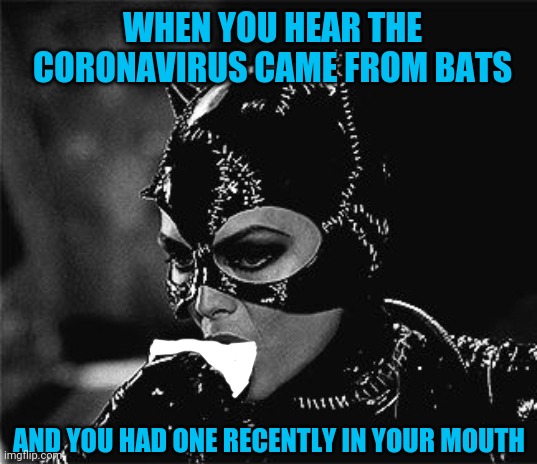 Droll Catwoman | WHEN YOU HEAR THE CORONAVIRUS CAME FROM BATS; AND YOU HAD ONE RECENTLY IN YOUR MOUTH | image tagged in droll catwoman | made w/ Imgflip meme maker