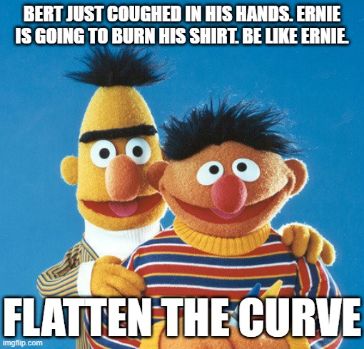 #FlattenTheCurve | BERT JUST COUGHED IN HIS HANDS. ERNIE IS GOING TO BURN HIS SHIRT. BE LIKE ERNIE. FLATTEN THE CURVE | image tagged in covid-19 | made w/ Imgflip meme maker