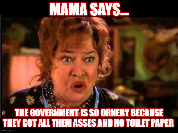 Water boy mama | MAMA SAYS... THE GOVERNMENT IS SO ORNERY BECAUSE THEY GOT ALL THEM ASSES AND NO TOILET PAPER | image tagged in water boy mama | made w/ Imgflip meme maker