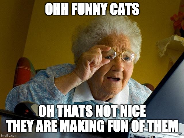 Grandma Finds Funny Cats | OHH FUNNY CATS; OH THATS NOT NICE THEY ARE MAKING FUN OF THEM | image tagged in memes,grandma finds the internet | made w/ Imgflip meme maker