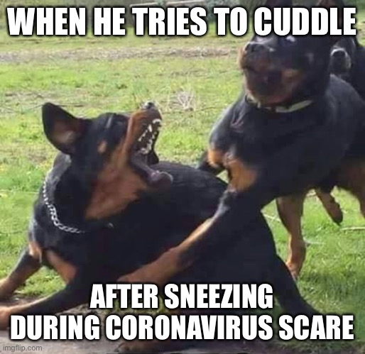 WHEN HE TRIES TO CUDDLE; AFTER SNEEZING DURING CORONAVIRUS SCARE | image tagged in coronavirus,funny | made w/ Imgflip meme maker