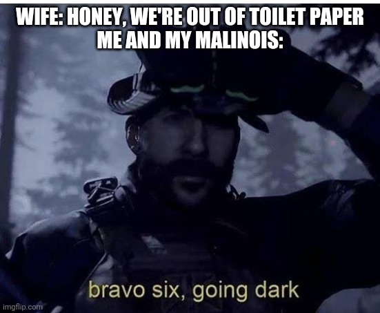 Bravo six going dark | WIFE: HONEY, WE'RE OUT OF TOILET PAPER
ME AND MY MALINOIS: | image tagged in bravo six going dark | made w/ Imgflip meme maker