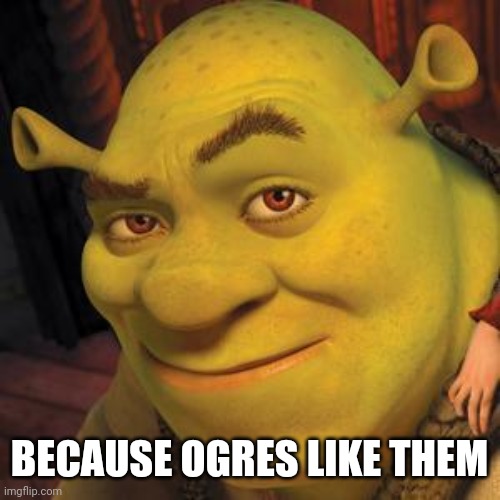 Shrek Sexy Face | BECAUSE OGRES LIKE THEM | image tagged in shrek sexy face | made w/ Imgflip meme maker