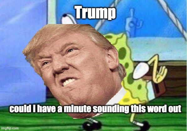 Spelling Bee Champion | Trump; could i have a minute sounding this word out | image tagged in memes,donald trump,spelling bee | made w/ Imgflip meme maker